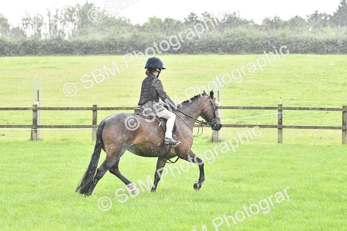 SBM_35526 - S30 - Nursery Stakes Working Hunter Pony