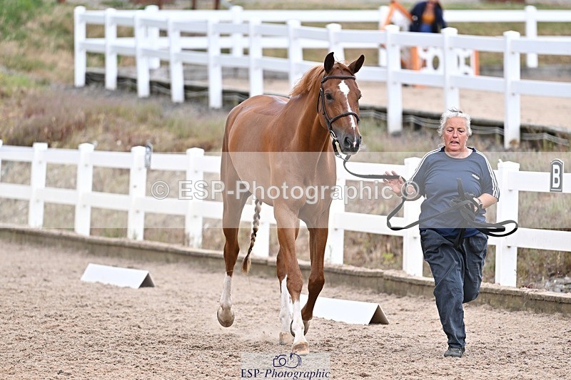 250716-164751-00767 - Trot Up 4.30 to 5.00