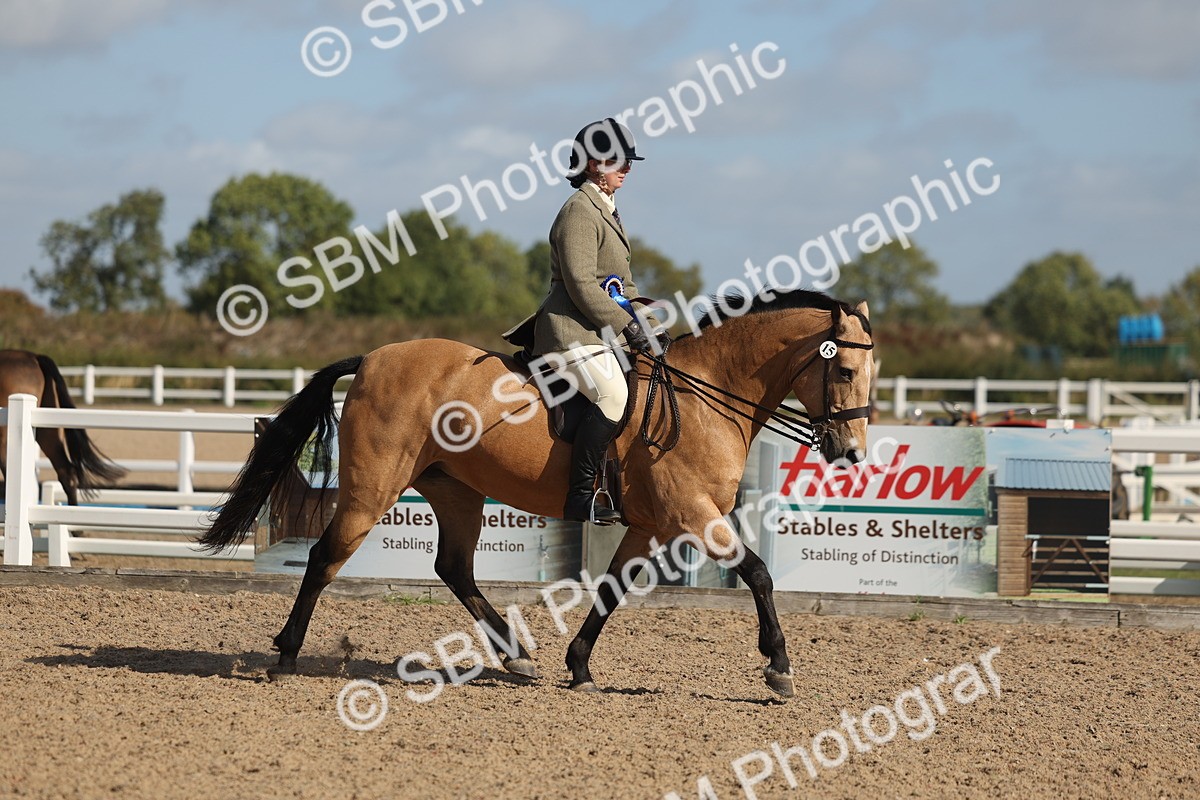 SBM_22650 - Class 804 - Ridden Veteran Pony