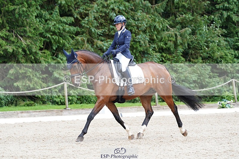 240721-151608-10034 - 195-Dawn_Bear-First_Taylor_Made