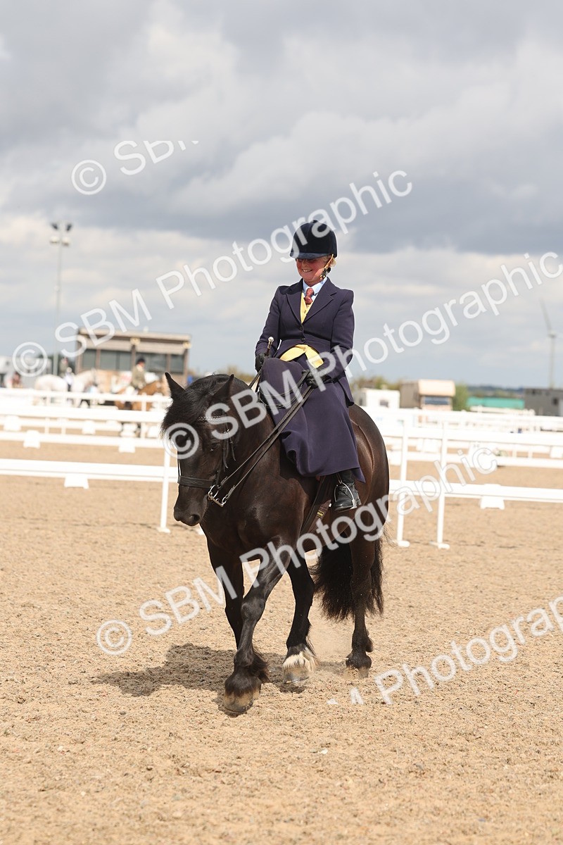 SBM_06370 - Class 22 - SSA - Equitation