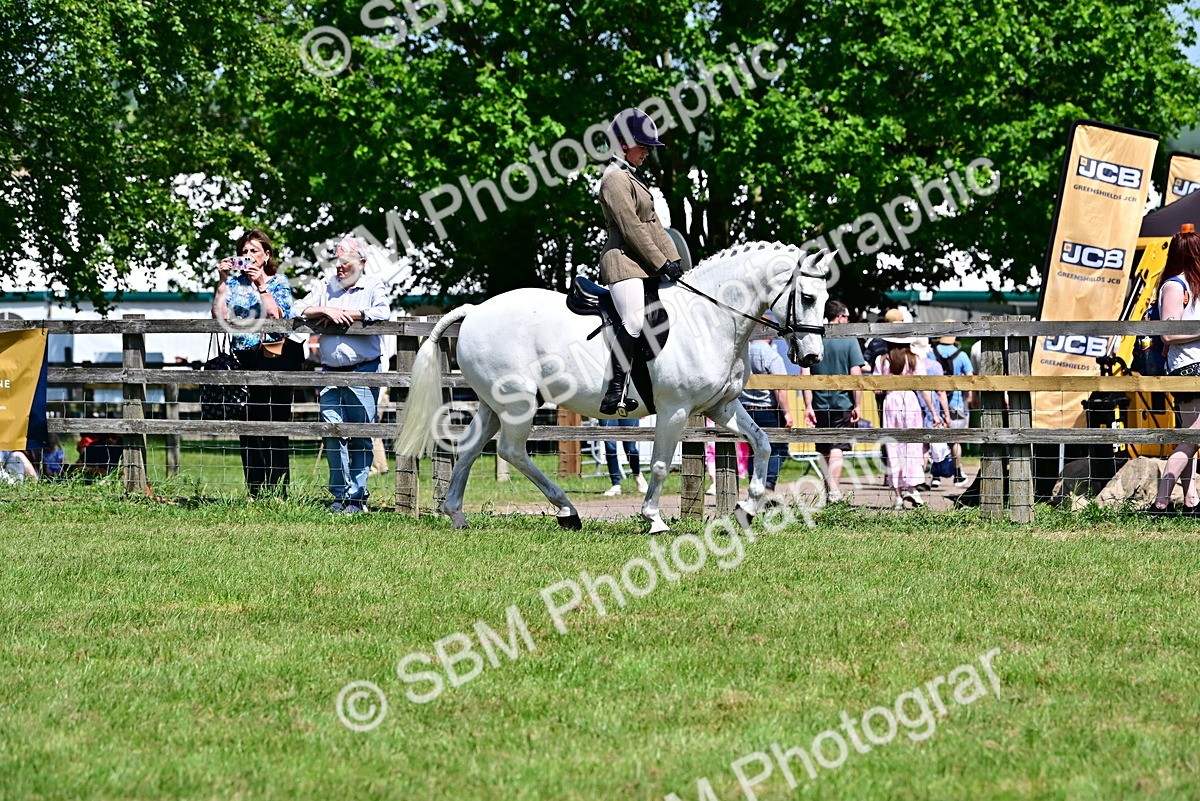 SBM_17391 - Class 95-97 - BSPS LHS Performance Ponies