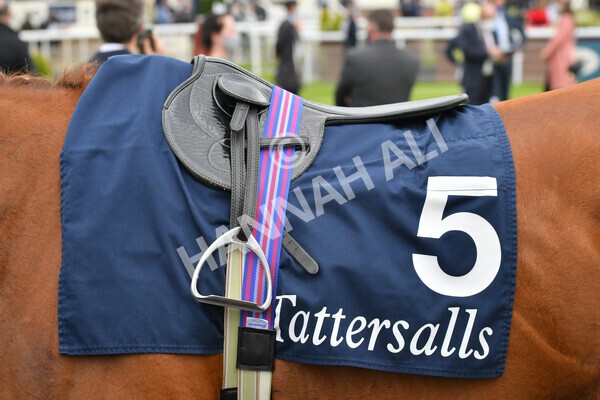 yr12052021r4-7 - Race 4 3.10pm Tattersalls Musidora Stakes