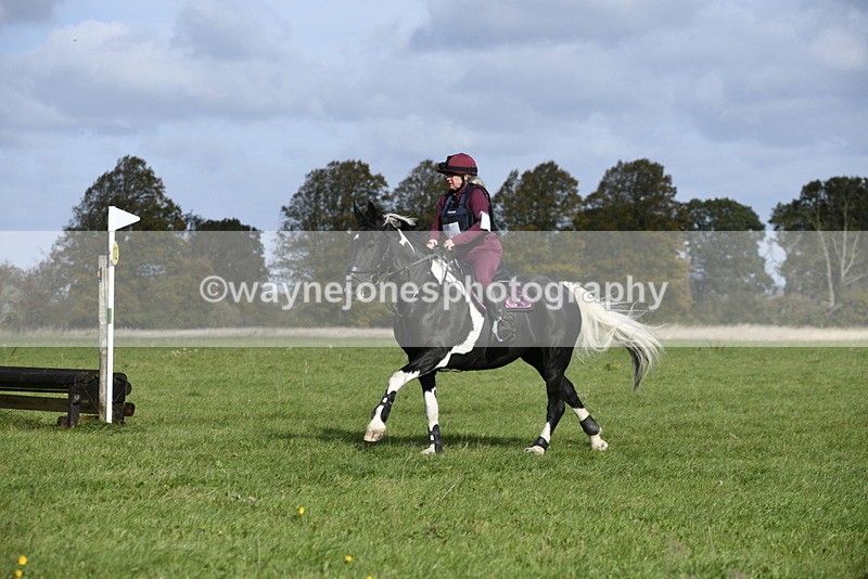 _DSC5652 - Time 10:49 to 11:23