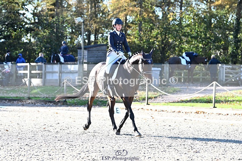 231110-110214-00290 - Cls 2 Prelim 17(a)Q