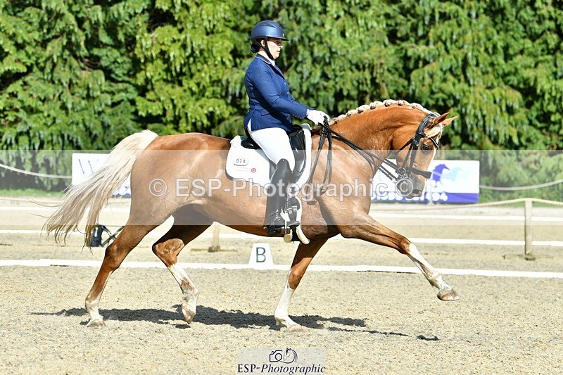 230623-165410-02922 - Cls 9 Advanced Medium 91Q