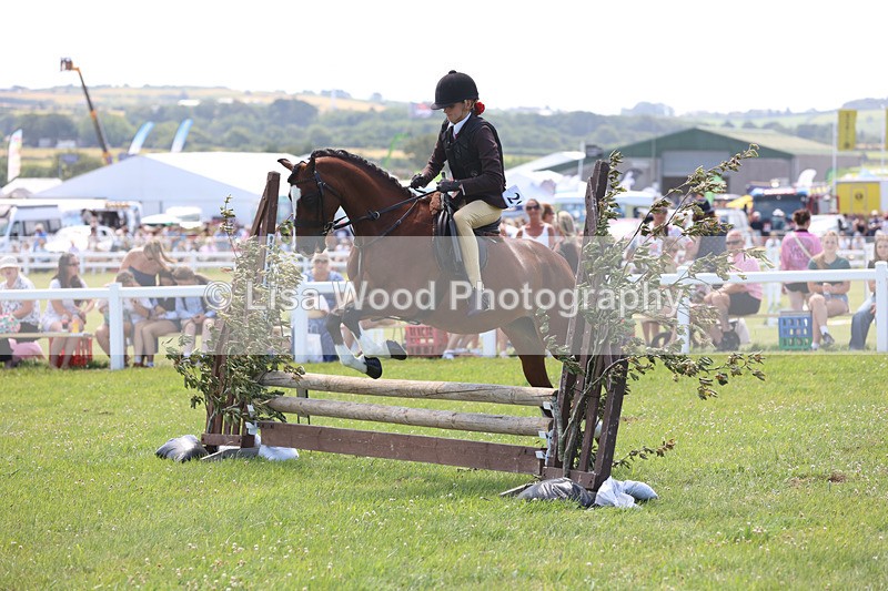 JPP_2645 - Class 21: Working Hunter 60cm