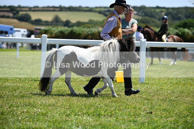 DSC_7577 - Class 64: Coloured Pony 4yrs & over
