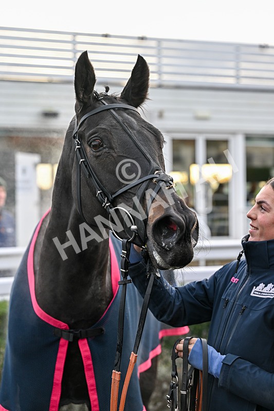 211125-Race 5-Sleeping Satellite-8003 - Race 5