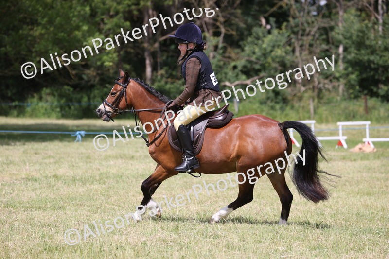 20260614-1756 - Class 21 - Novice Working Hunter Pony