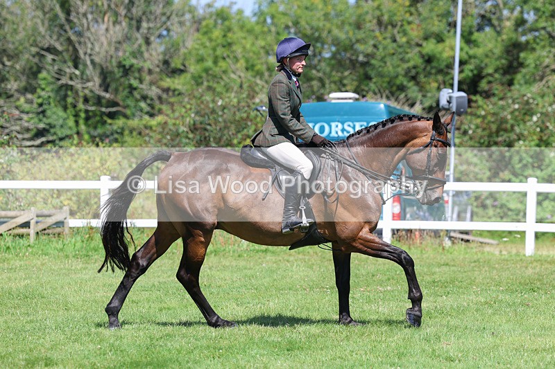 3E7A8964 - Class 6: Open Working Horse