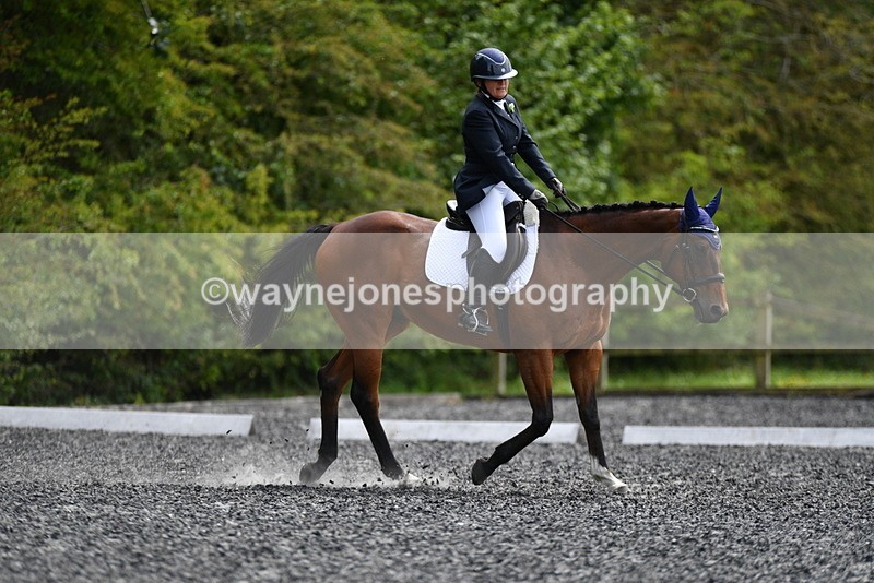 WJ5_1621 - Time 14:20 to 15:01