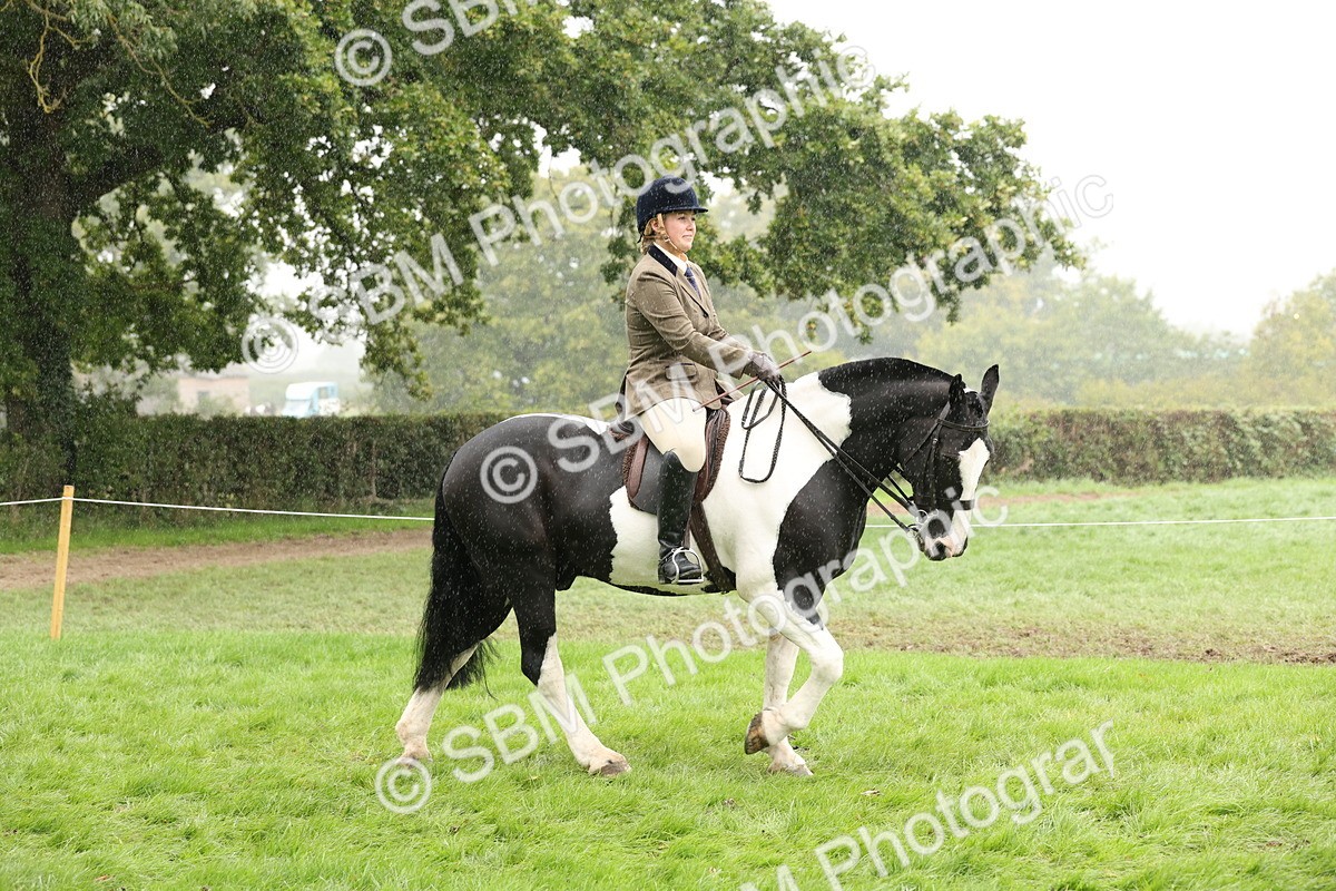 SBM_69780 - S69 - Show Cob Ridden