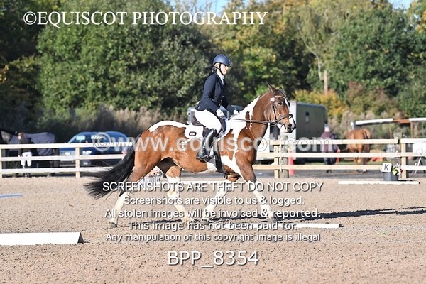 BPP_8354 - SHORT ARENA