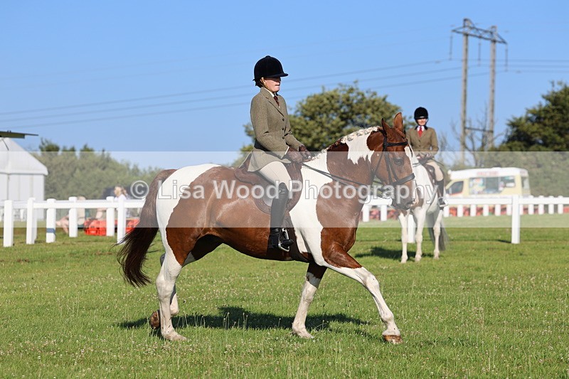 IMG_1264 - Class 27: Ridden Plaited Coloured Horse