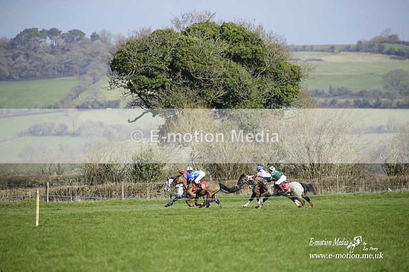 PtP 060322 73 - Blackmore & Sparkford Vale Hunt PtP 06/03/22
