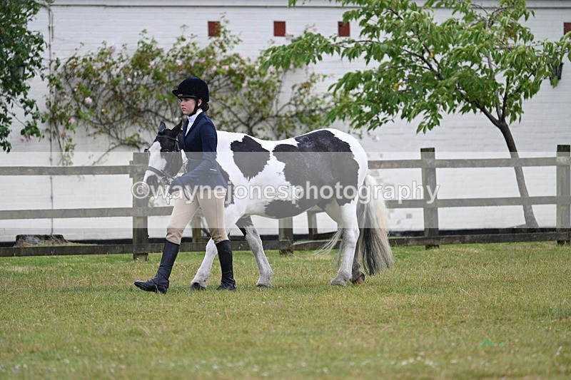 WJ7_5726 - Class 4 Prettiest Mare in Hand