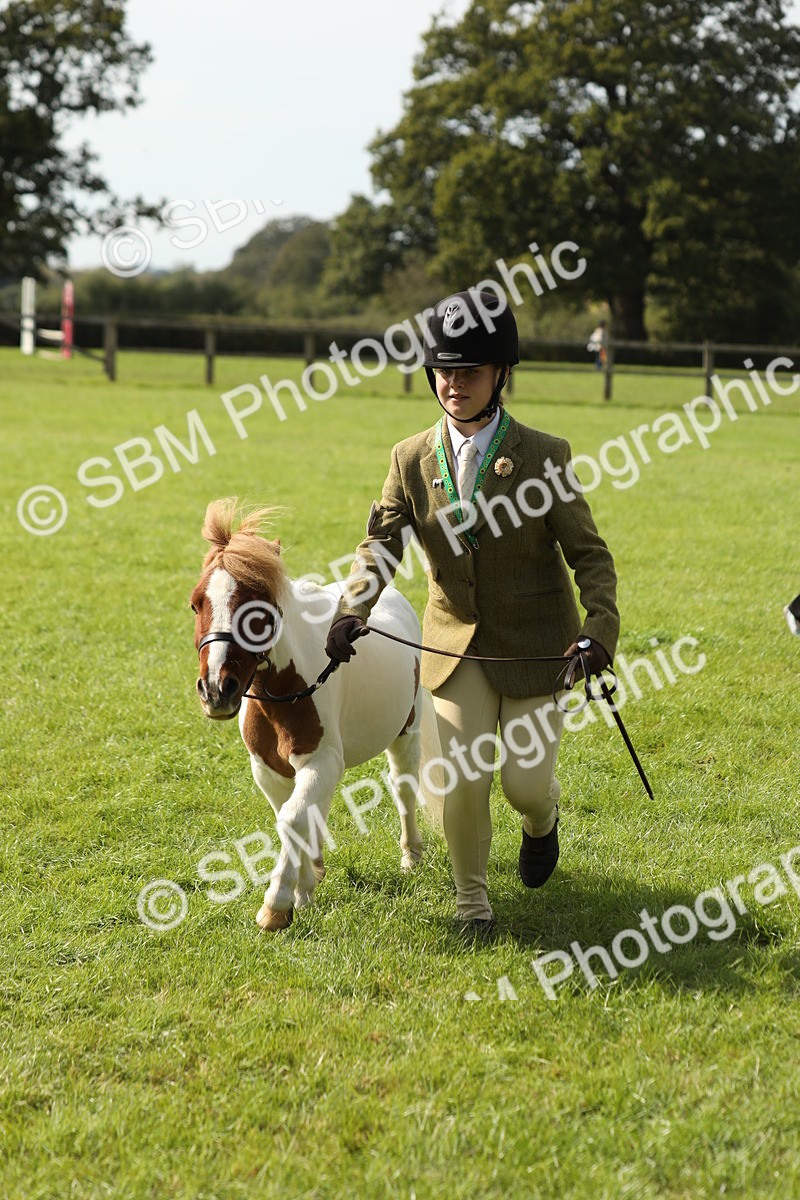 SBM_68595 - S40 - Junior Handler 9-12 Years