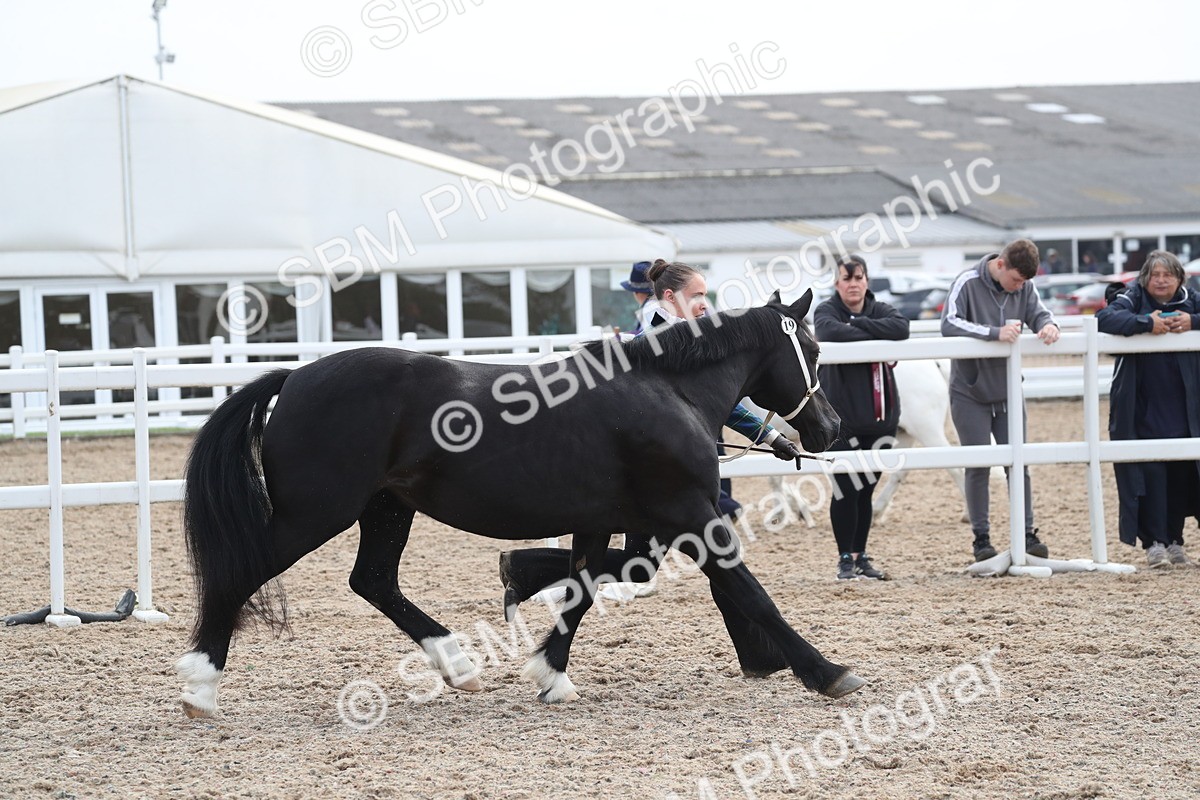 SBM_23297 - Class 606 - 2025 Area - IH Pre Vet