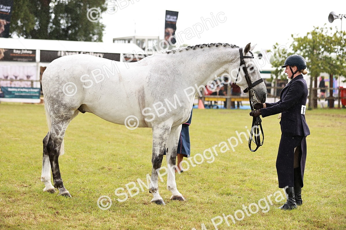 SBM_10997 - Class 81-84 - RIHS Ridden hunters Inc Ladies Hunter