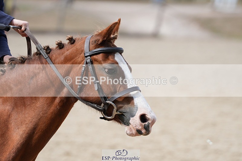 250822A-125140-23080 - WC Round 2 12.20 to 13.50