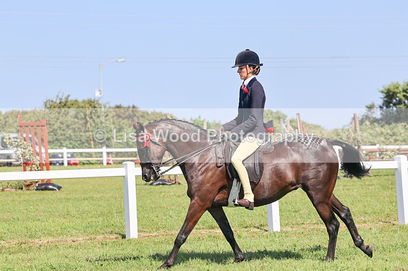 IMG_1910 - Class 33: Show Pony 148cm and under
