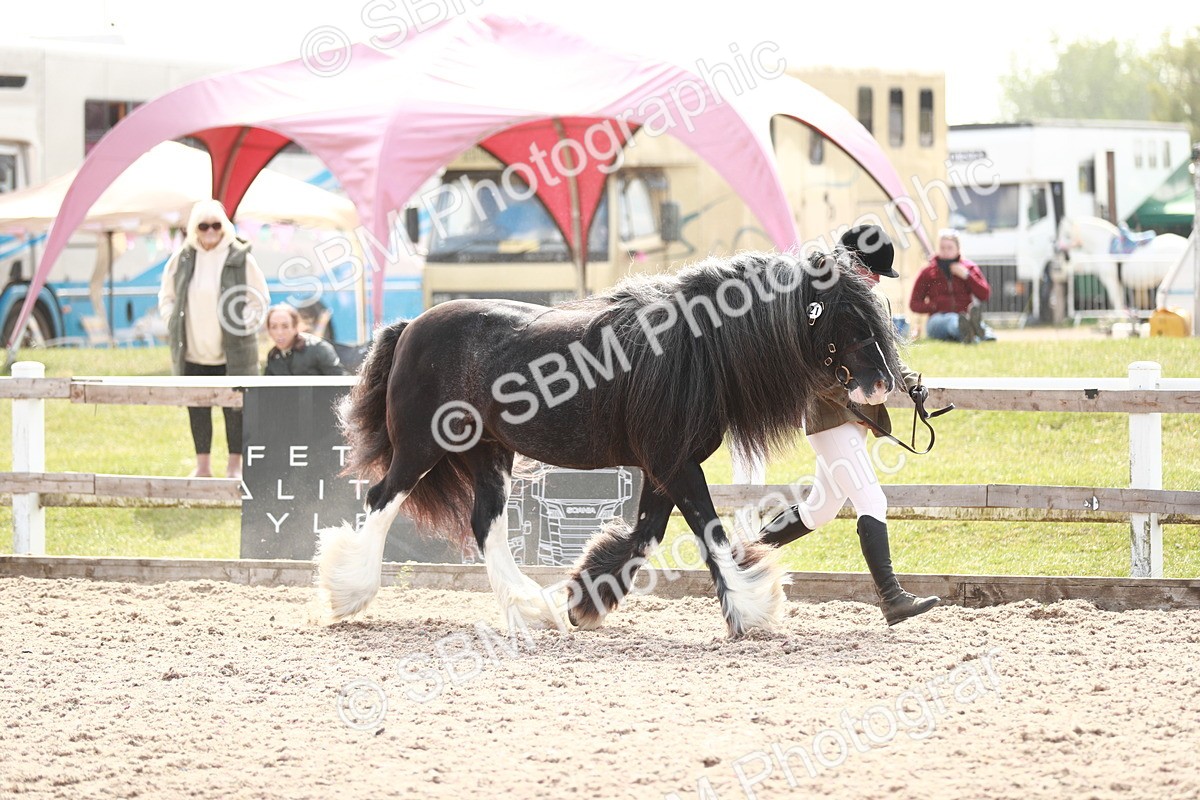 SBM_13865 - Class 209 IH Veteran Pony