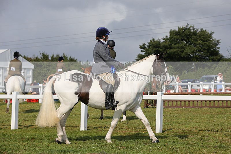 1X9A3442 - Skewbald and Piebald Ridden Championship