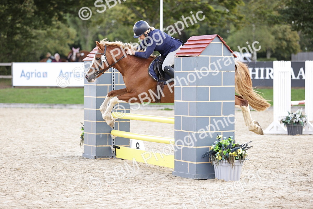 SBM_18685 - J33 - Senior 75cm Championship