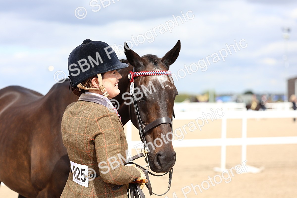 SBM_15284 - Class 313 - IH Retired Racehorse