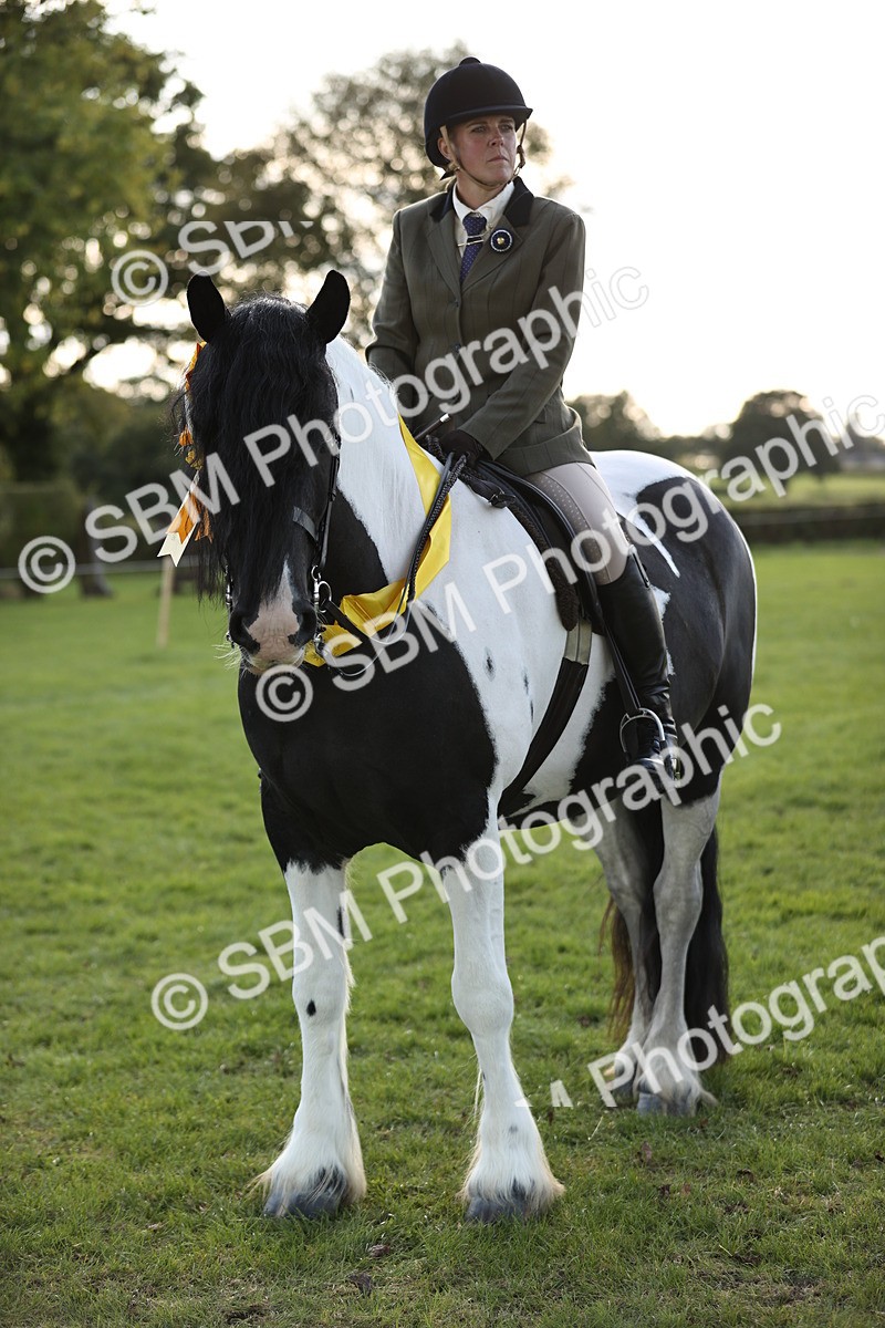 SBM_26491 - S6 - Novice & Newcomers Ridden Horse
