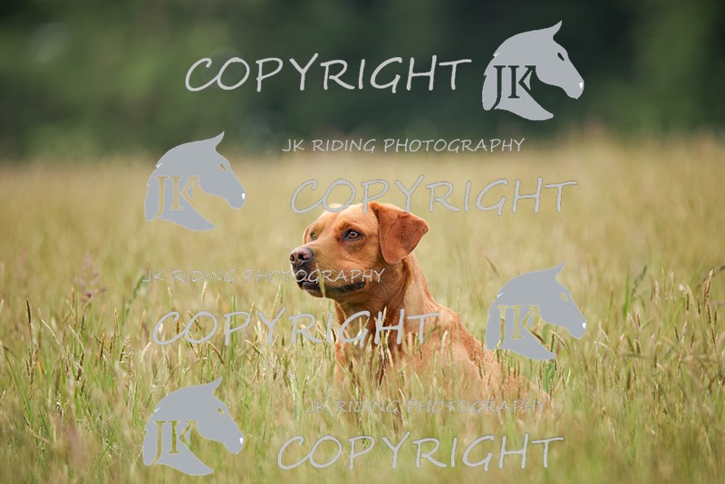 2R6A7439 - 11 Sharon