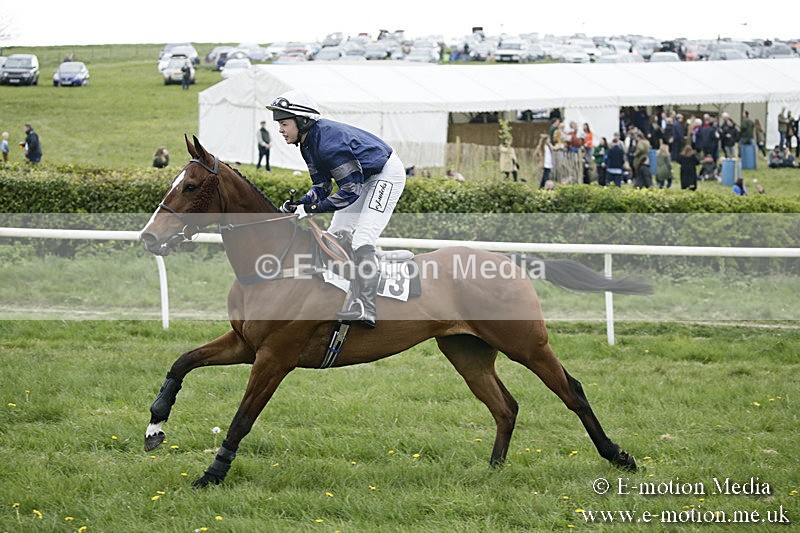 PtP 170417 503 - Old Berks Point-to-Point Lockinge 17/04/17