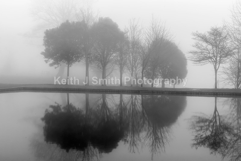 2SKJ5865 - Trees in Abington Park