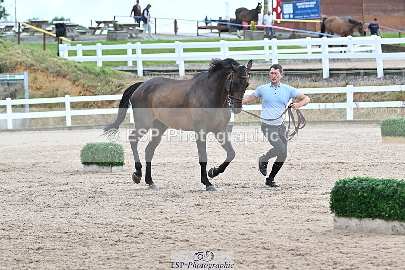 240717A-143243-02121 - Trot Up 2pm to 3pm - This folder is not in time order
