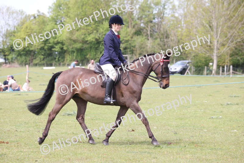 20260426-2940 - Class 33 - Best Pony 14.2hh and Under