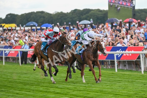 260725-Race 5-Beylerbeyi-7691 - Race 5 3.50pm Sky Bet, For The Fans Handicap