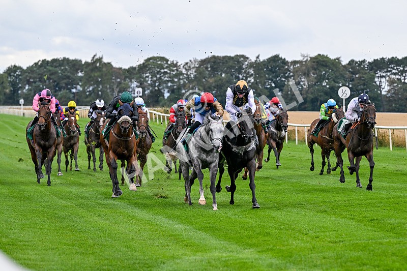 280826-Race 4-Deep Havana-4490 - Race 4 4pm Ivegate Building Handicap