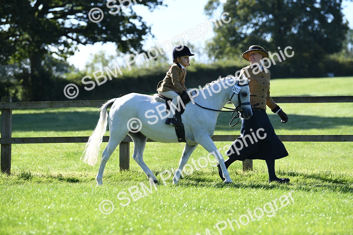 SBM_36795 - S18 - Novice & Newcomers Lead Rein Pony