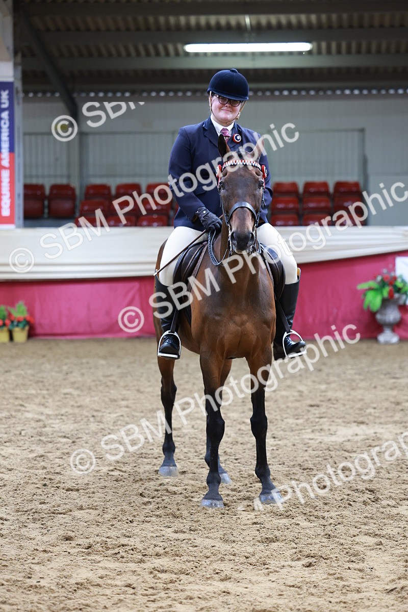 SBM_14990 - Class 108 - Ridden Retired Racehorse