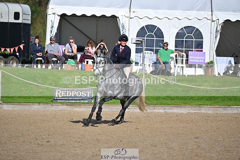 241027-110928-16623 - 320-Alice.Tollworthy-OUR.DOLPHIN.STAR