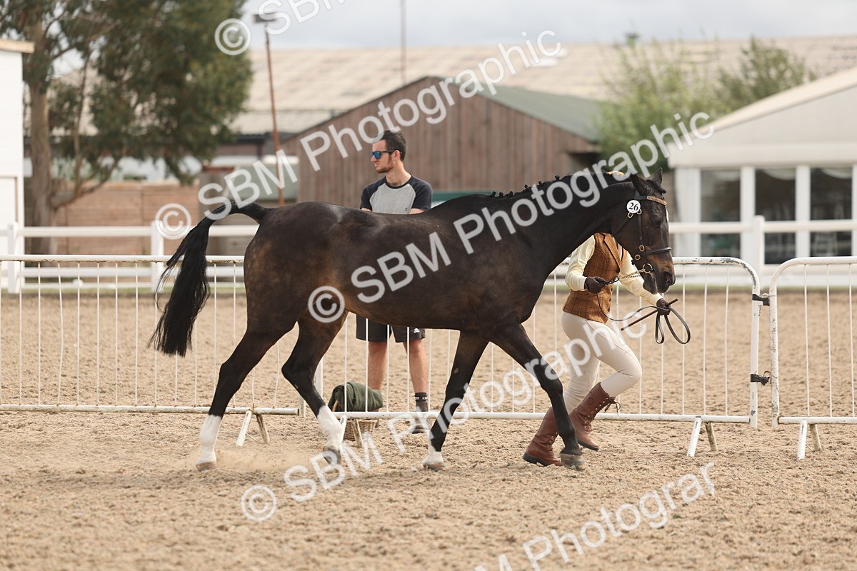 SBM_04982 - Class 20 - IH Veteran