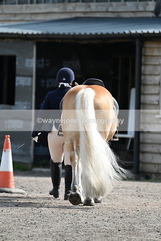 WJ7_8047 - Time 10:11 to 10:27