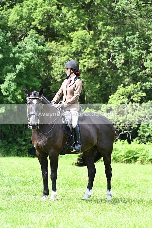 WJ7_1327 - Class 11 Condition & Turnout