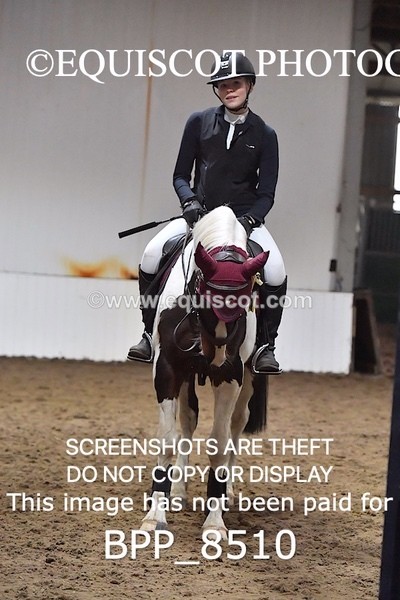 BPP_8510 - CLASS 7 Pony Newcomers/ 1m Open