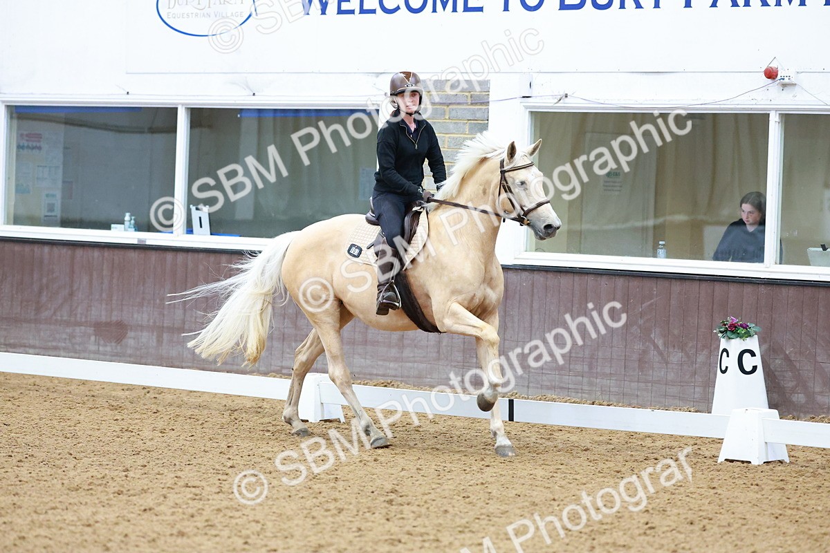 1I0A0637 - Class 3-6 - Prelim 1-Novice 2
