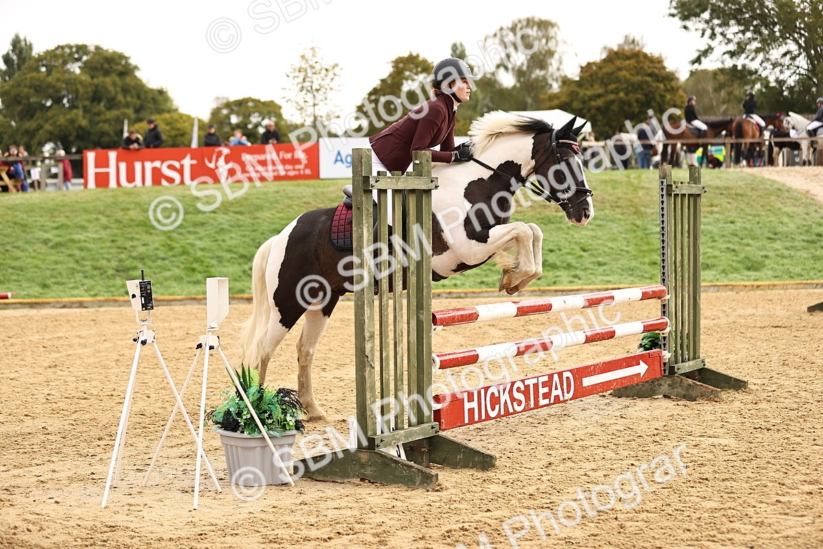 SBM_58209 - J41 - Grand Tour Horse & Pony 95cm