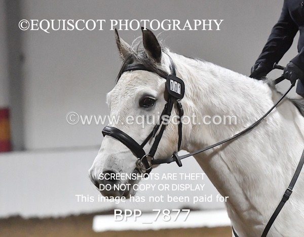 BPP_7877 - INTRO TEST 3