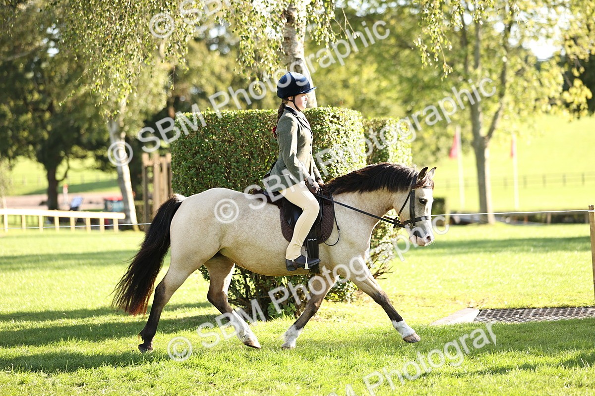 SBM_29338 - S7 - Novice & Newcomers Ridden Pony