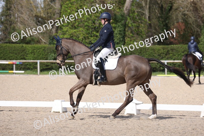 20260405-0498 - Class 5 - Elementary 5